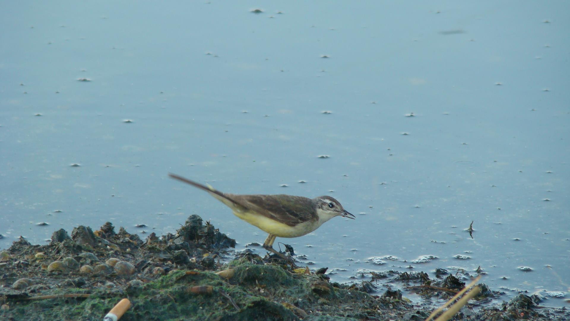 Blasova 2012 - DSC07818.JPG